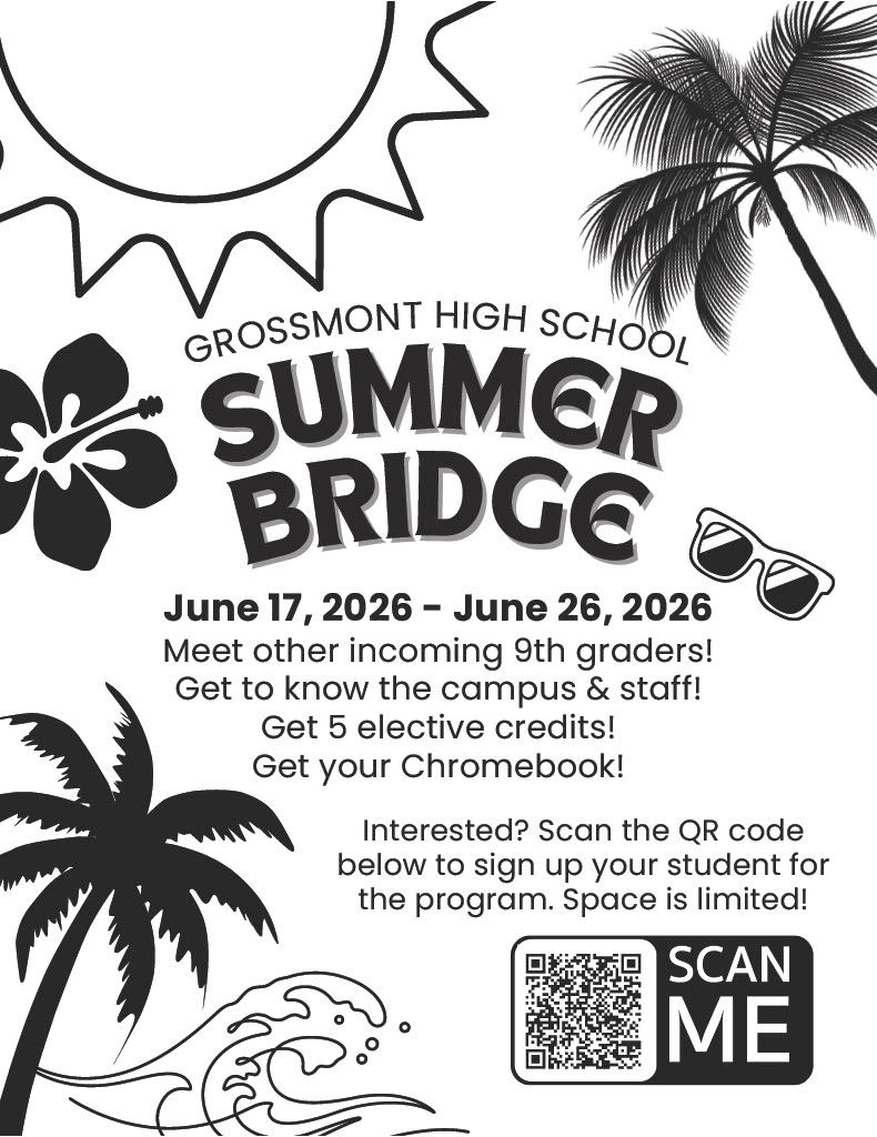 Summer Bridge flyer