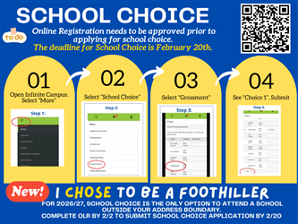 School Choice Graphic